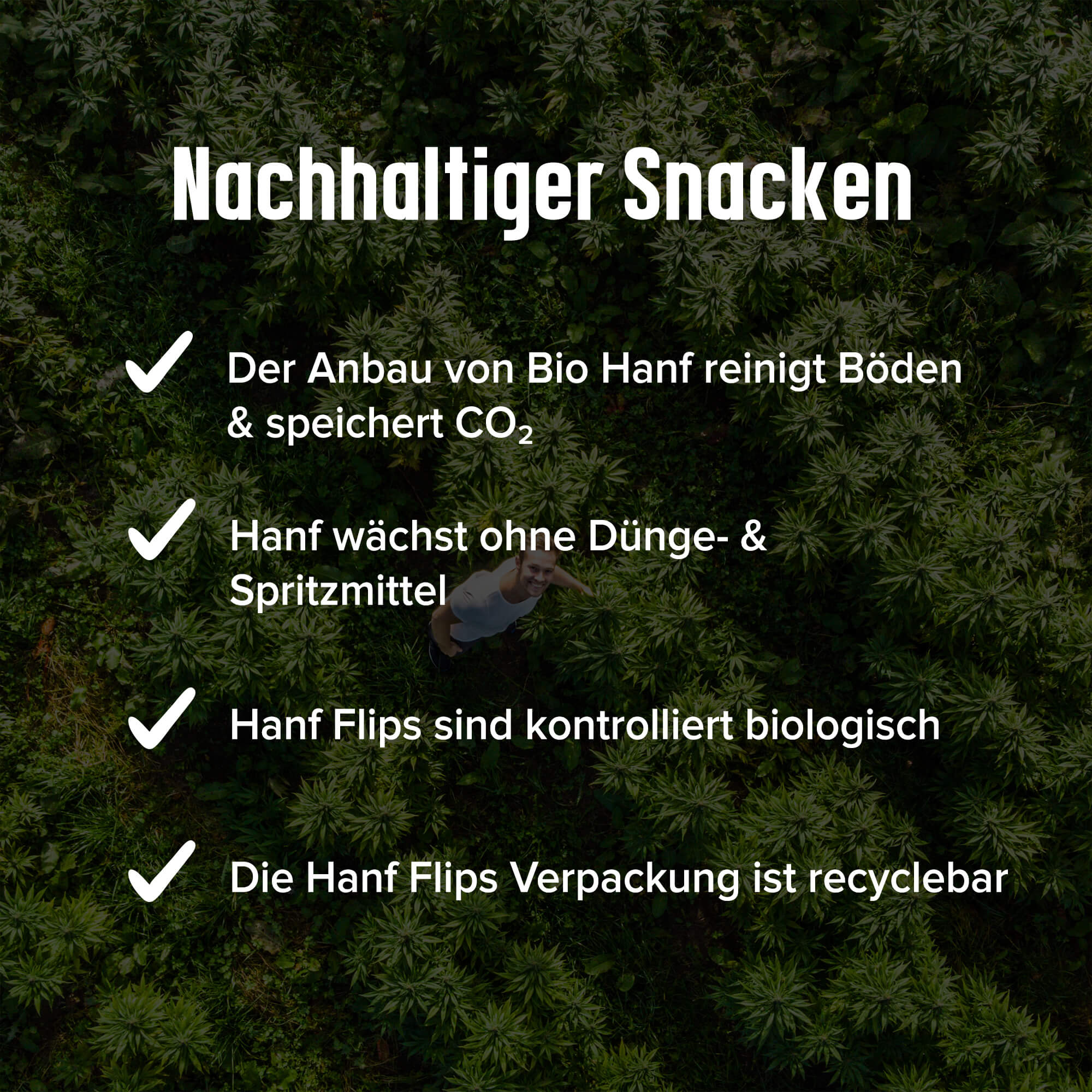 Bio Hemp Flips Lieblingsbox (12x) – Bild 9